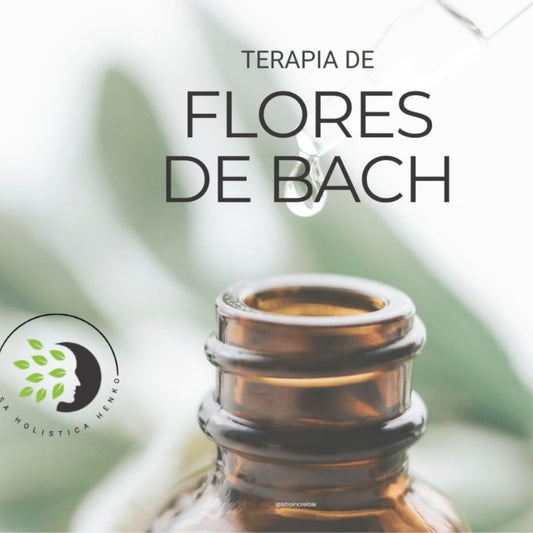 Sesión de Terapia Floral - Flores de Bach