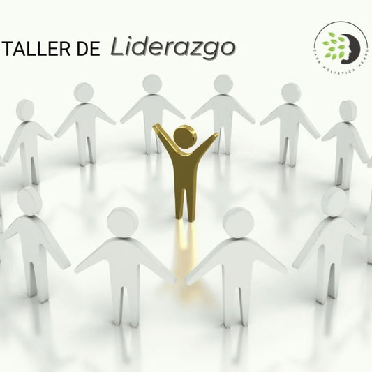 Taller Sinergia - Liderazgo y Trabajo en Equipo