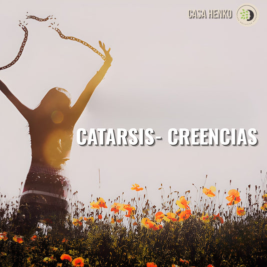 Mujer en silueta con los brazos levantados en un campo de flores al atardecer.